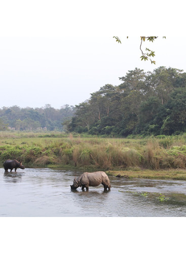 Kathmandu, Nagarkot, Chitwan, Lumbini & Pokhara Tour (10 Days)