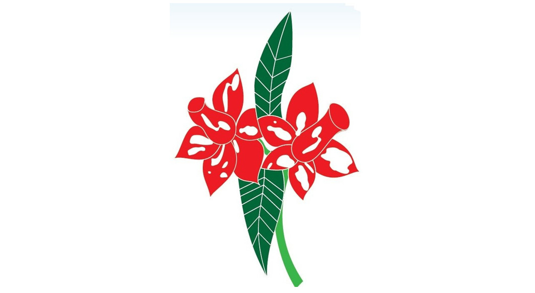 Video Orchid Tours & Travels